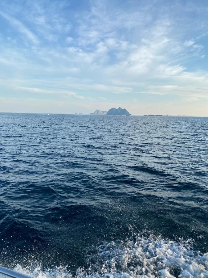 High End Sea Cabins At A In Lofoten Moskenes Kültér fotó